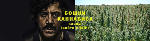 каннабис Арсеньев