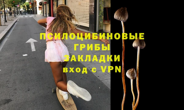 тгк Армянск