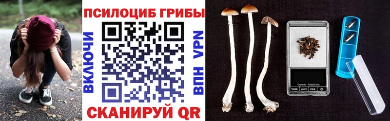 Псилоцибиновые грибы Cubensis  ОМГ ОМГ сайт  Скопин 